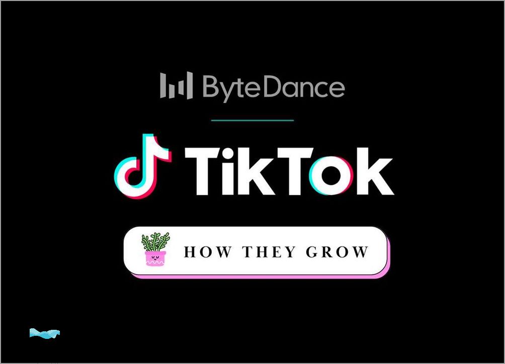 TikTok Search Filters Not Working: A Deep Dive into the Issue