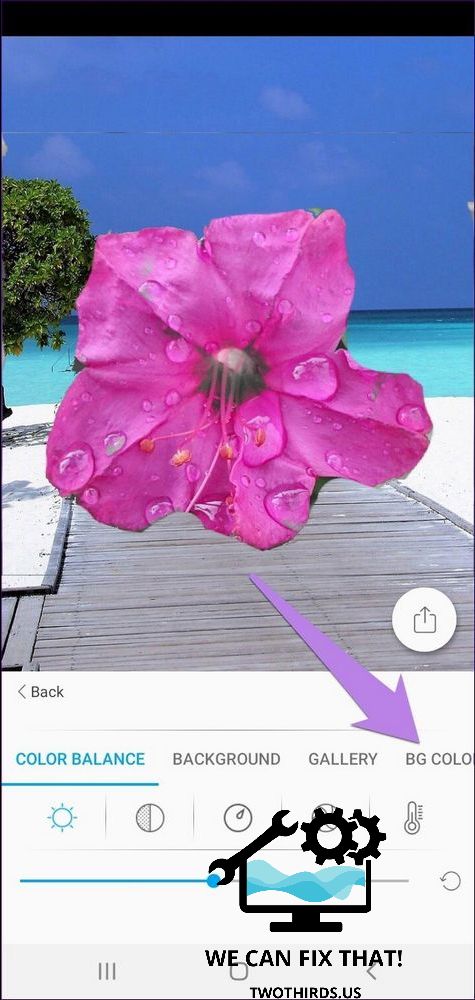 5 Best Android Apps to Change Background of Photo to White