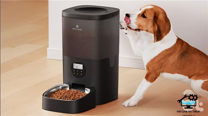 6 Best Automatic Pet Feeders for Cats and Dogs