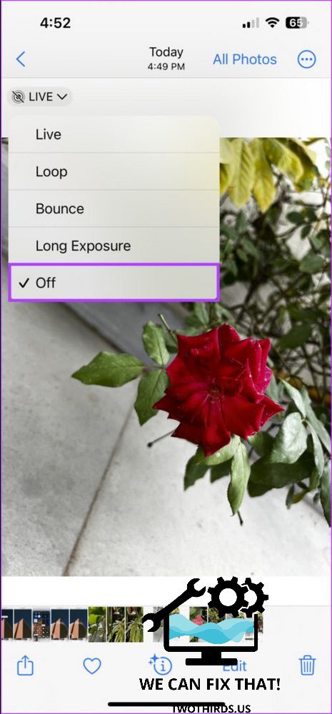 7 Best Fixes for Photo Cutout Not Working on iPhone